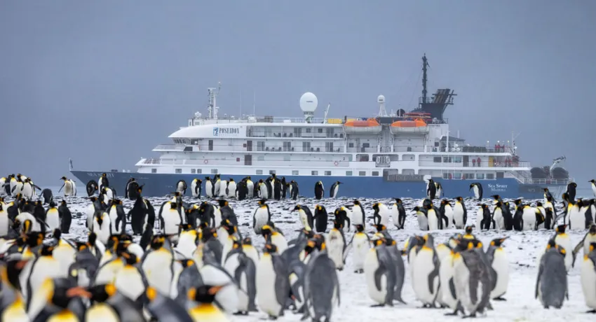 Континент Антарктида Классика, Мир айсбергов и пингвинов